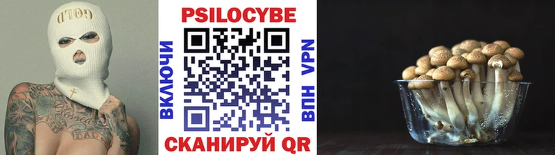 Псилоцибиновые грибы ЛСД  blacksprut ссылка  Светлогорск 