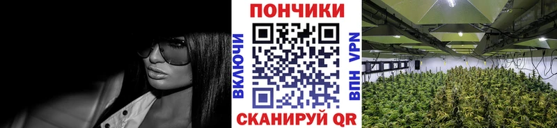 маркетплейс как зайти  Светлогорск  Конопля гибрид 